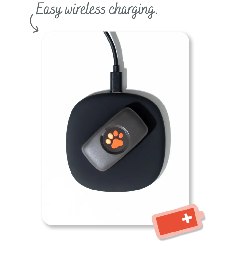 PitPat GPS tracker with wireless charging pad